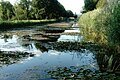 Alter Ludwig-Donau-Main Kanal bei Berching