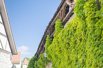 Begehbare Stadtmauer Berching