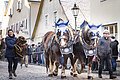 Rossmarkt Berching