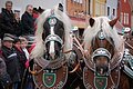 Rossmarkt 2016