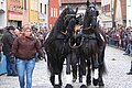 Rossmarkt 2016