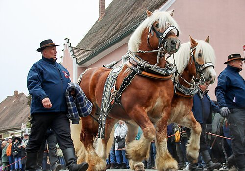 Rossmarkt in Berching