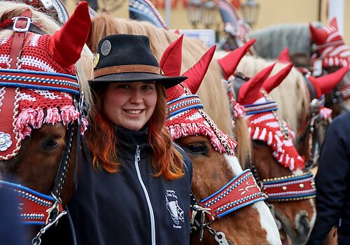 Rossmarkt in Berching