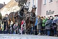 Rossmarkt in Berching - Pferdeauftrieb