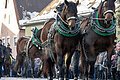 Rossmarkt in Berching - Pferdeauftrieb