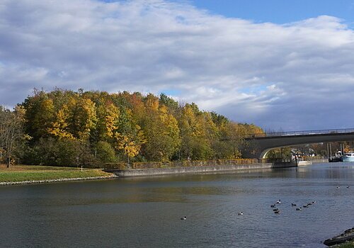 Fluss mit Enten, Brücke und herbstlich gefärbten Bäumen unter bewölktem Himmel.