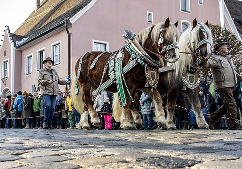 Rossmarkt in Berching - Pferdeauftrieb