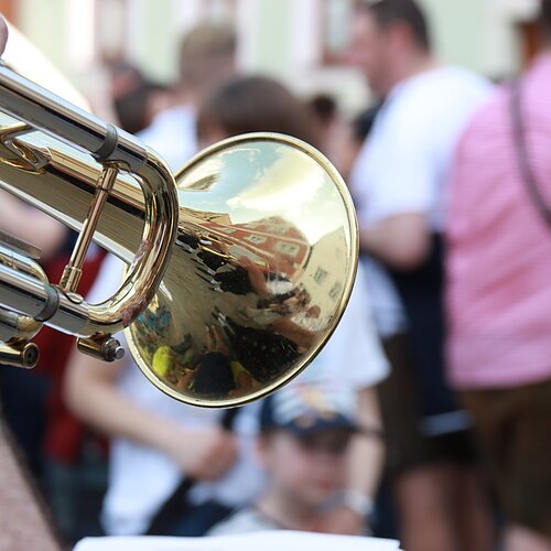 Pfingstvolksfest Berching - Auszug