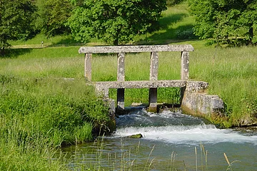 Ein Schwall an der Laber zwischen Dietfurt und Breitenbrunn