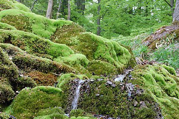 Hoher Brunnen