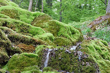 Hoher Brunnen