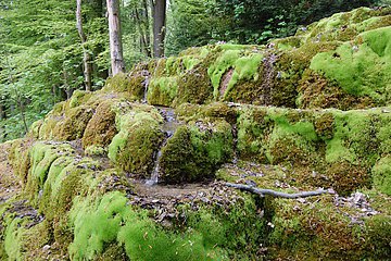 Hoher Brunnen