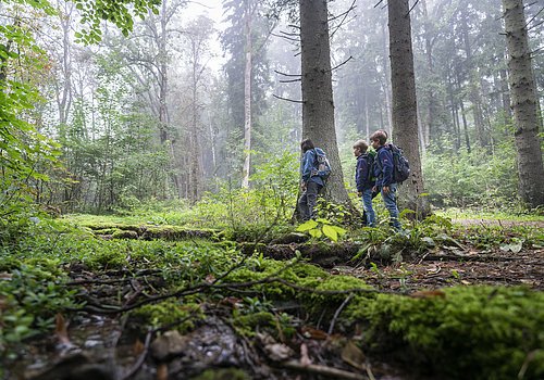 Wandern in der Marienklause