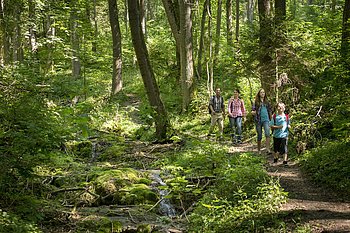 Wandern in Berching