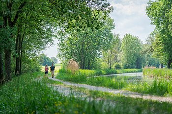 Wanderer am Ludwig-Donau-Main-Kanal bei Berching