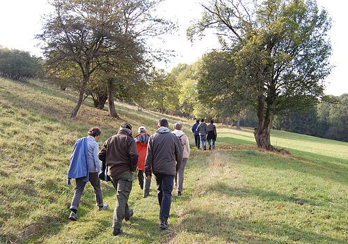 Quellenweg Berching