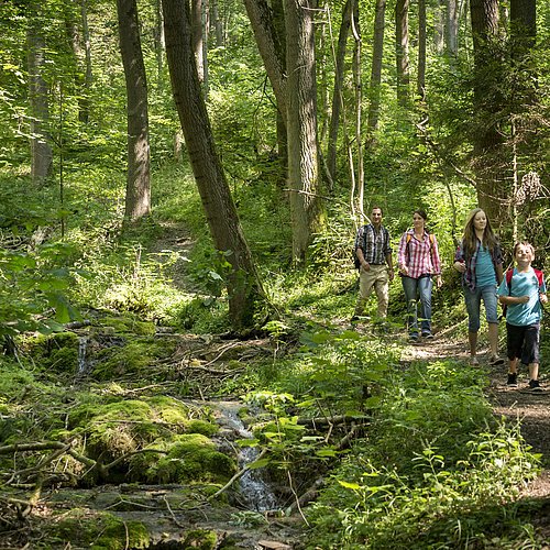 Wandern in Berching