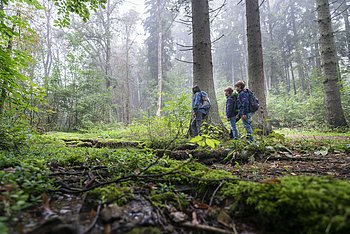 Wandern in der Marienklause