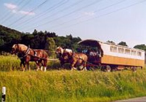 Planwagenfahrt Berching