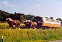 Planwagenfahrt Berching