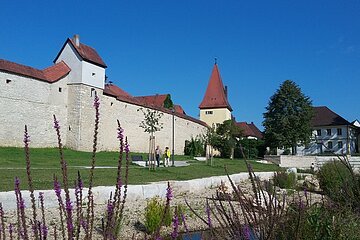 Stadtmauer Berching