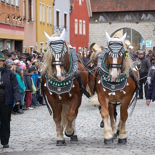 Rossmarkt 2016