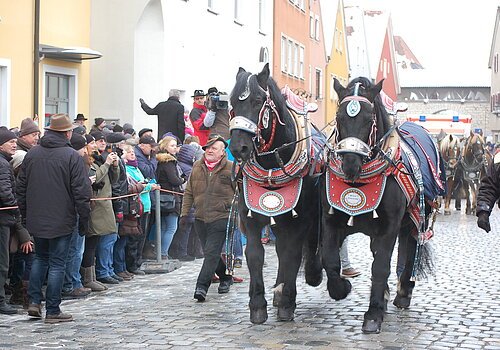 Rossmarkt 2019