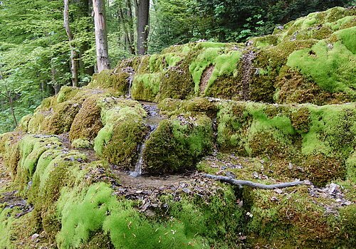 Hoher Brunnen