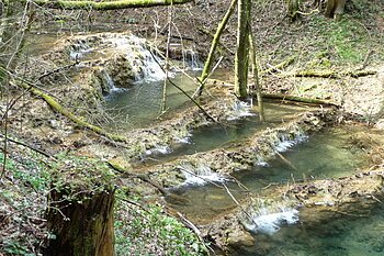 Kalktuffterrassen Holnstein