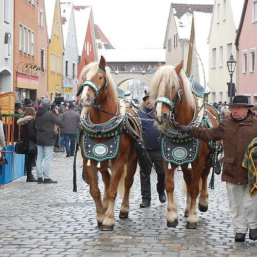 Rossmarkt 2019