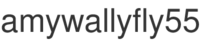 amywallyfly55