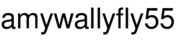 amywallyfly55